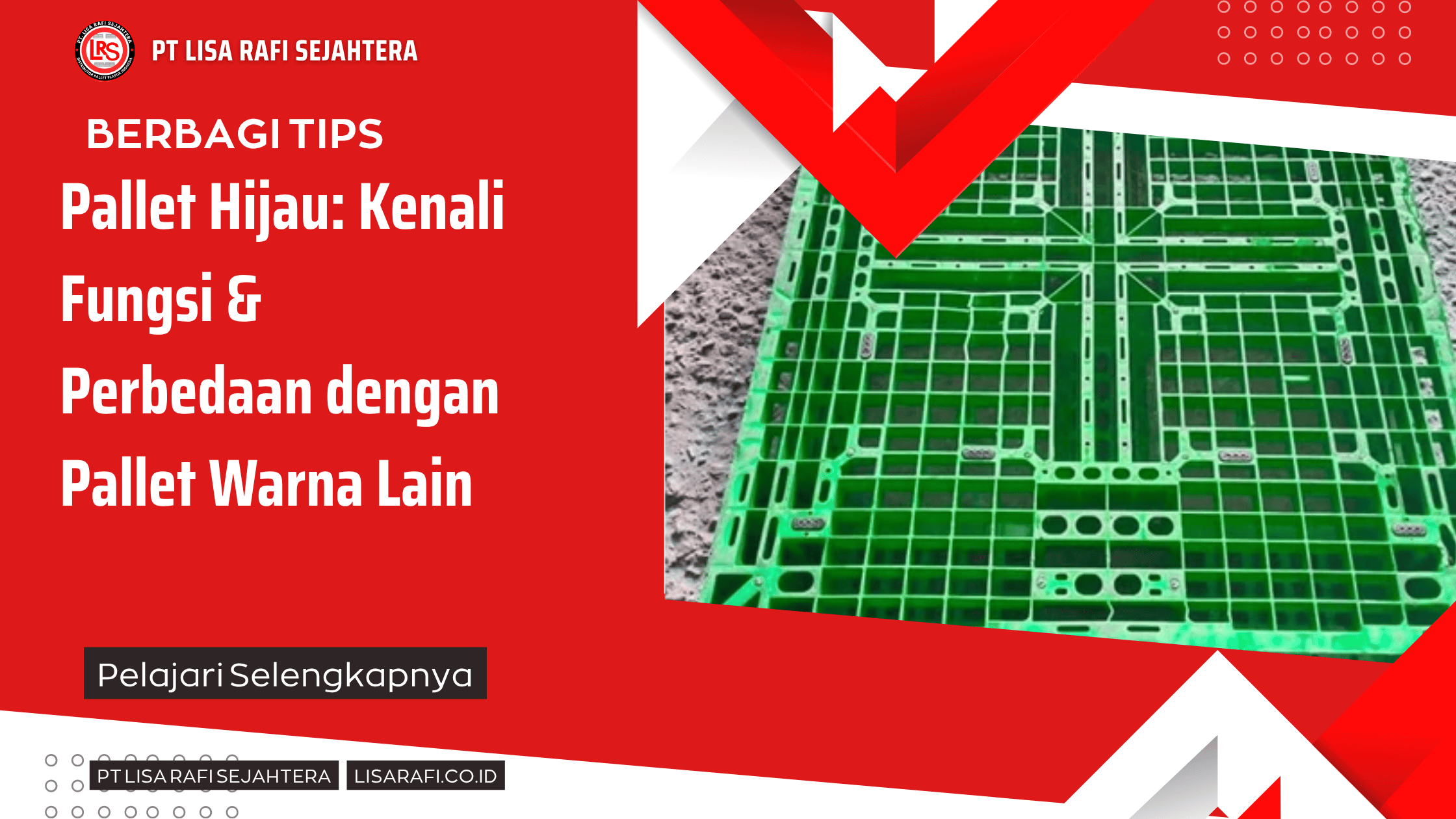 Pallet Hijau: Kenali Fungsi & Perbedaan dengan Pallet Warna Lain