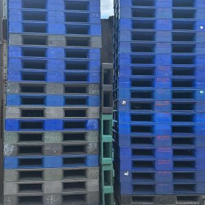 Logo PT Lisa rafi sejahtera